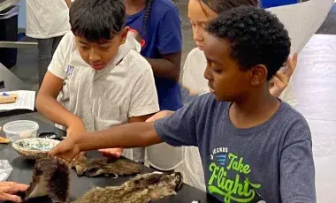 two boys and one girl looking and touching animal fur pelts on a counter at a school