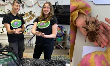 2 pictures. image on the right two women holding siders in back shirts with a logo on it. Picture on right, close up of a child's hands holding a large tarantula. 