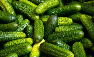 Picture of about 50 green pickles 