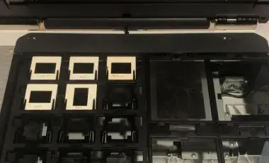Slides and negatives on a flatbed scanner