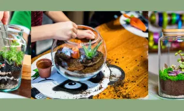 Terrariums being assembled.