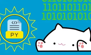 coding language with a cat emoticon