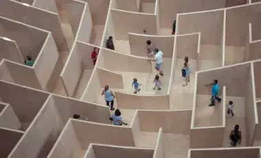 people in a maze 