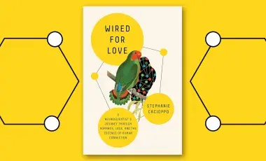 Book cover of green love birds centered on a yellow background
