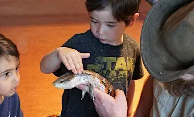 An adult holding a reptile. One child petting the reptile. Another child looking at the reptile