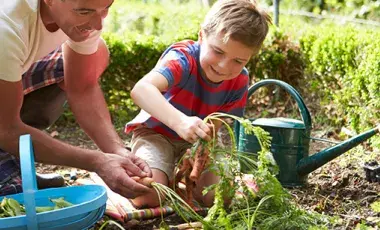 father-son-gardening