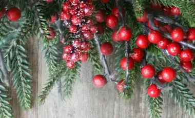Close up of a sprigs of red holly berries on a wood table