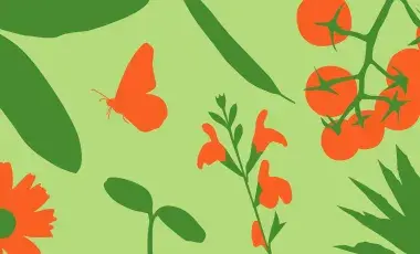 pattern of red flowers and green leaves