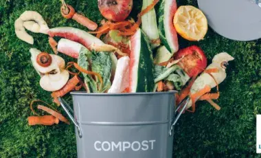 Compost bin with food scraps