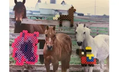 fuse bead horses and horses