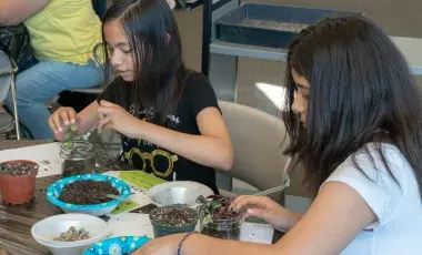 Teens Making Tiny Terrariums