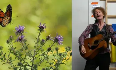 butterfly and Christopher Yates, the performer