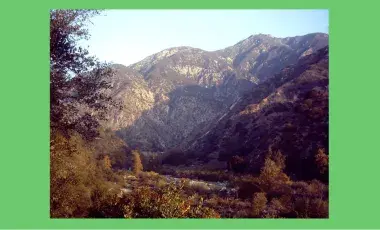 A photograph of Eaton Canyon with plants and trees in the foreground and a mountain in the background.