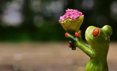 a ceramic frog offers a bouquet of pink flowers