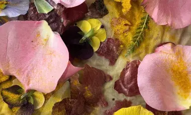 Natural dyed fabric