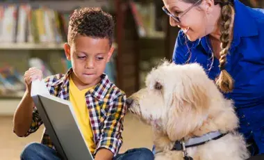 A young boy, cozily sitting in the library, reading to a BARK Therapy Dog and the dog's happy owner.