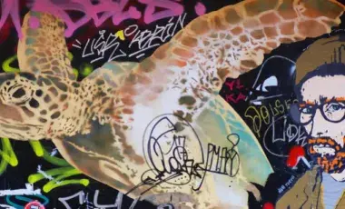a collage of images including a sea turtle, vincent van gogh, and graffiti writing