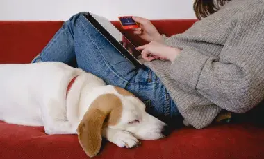 A person in jeans and a sweater reclines on a couch, holding a library card and using a tablet, while a white dog sleeps next to the person.