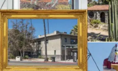 collage of 6 photos taken in Highland Park
