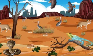 Desert with various animals.