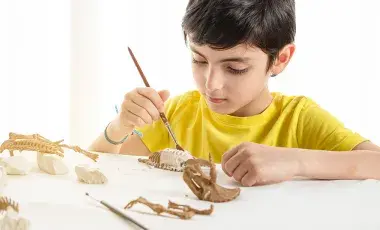 A boy brushing a fossil.