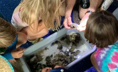 A group of children observing marine life.