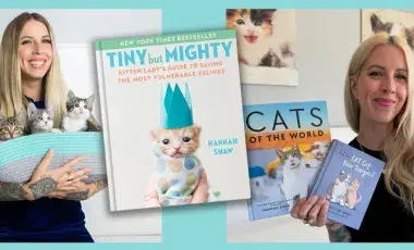 Hannah Shaw posing with a bunch of kittens and her books