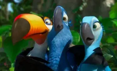 A close up of three animated tropical birds staring at each other surprised
