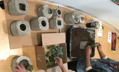 Cement planters, box of dirt and succulents