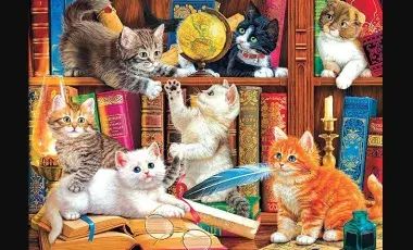 A colorful illustration of several cats lounging and playing on a bookshelf