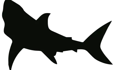 shark silhouette