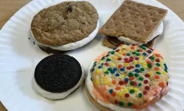 Four s'mores on a plate, one traditional, and three made with various cookies