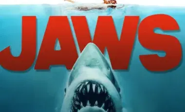 Shark in water and lady swimming above