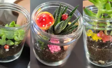 Close-up of three Mason jars filled with terrarium materials including soil and small plastic figurines.