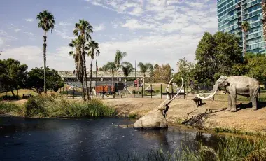 Elephants trapped in a tar pit