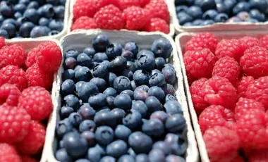 A color photo of baskets of blueberries and raspberries, Image by Ilona Frey from Pixabay