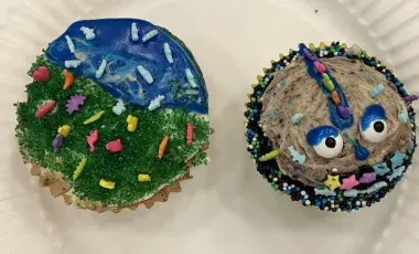 Two decorated cupcakes on a plate