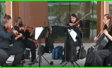 Four Musicians playing their string instruments