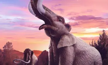 woolly mammoths