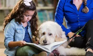 Child sitting down and reading to a therapy dog.