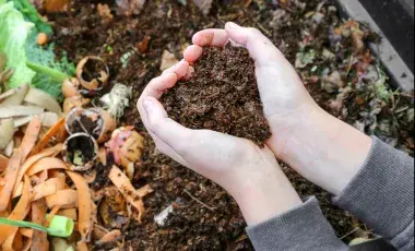 compost gathered in hands into the shape of a heart