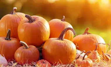 A pile of orange pumpkins sitting on the ground.