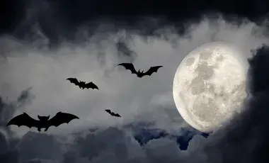 bats, the moon, and a cloudy night sky