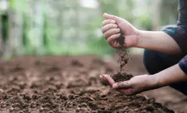 hands grabbing soil 