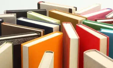 A bunch of colorful books standing up