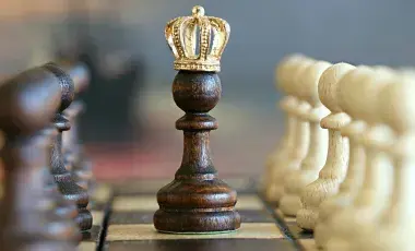 Chess pieces with the king in the center on a chessboard