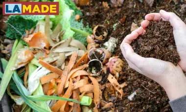 cupped hands holding dirt