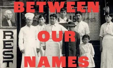 Photograph of the book cover of: “The Distance Between Our Names.”