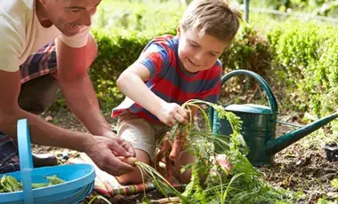A man and child gardening