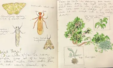 journal with images and handwritten notes